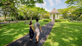 情侣在新加坡植物园的走道上散步