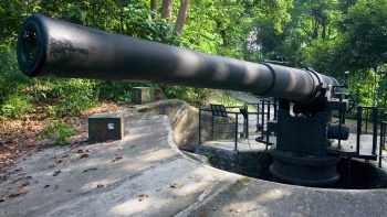 这个新加坡的自然保护区内还掩藏着第二次世界大战期间的碉堡遗址。