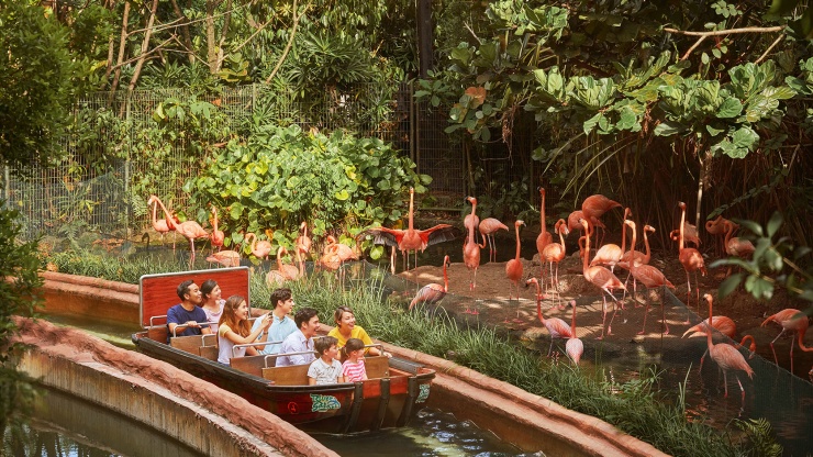一家人乘坐亚马逊河游船 (Amazon River Quest) ，在新加坡河川生态园 (River Safari) 观看火烈鸟生活区。