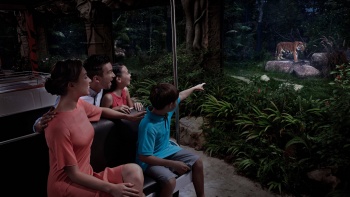 一家人在新加坡夜间动物园的电车上观赏马来虎