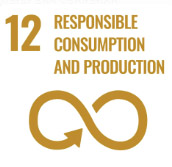 Responsible consumption and production