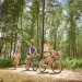 脚车骑士们在风景优美的科尼岛公园享受美好一天