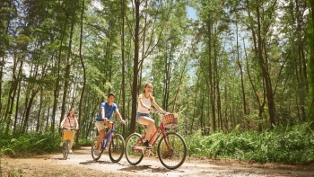 脚车骑士们在风景优美的科尼岛公园享受美好一天