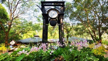 新加坡植物园的钟楼