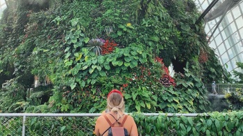 女子在滨海湾花园云雾林的广角镜头