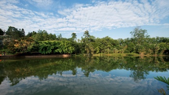 新加坡植物园内的天鹅湖