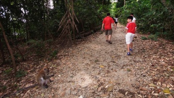 一家人在新加坡麦里芝蓄水池步道漫步