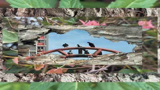 甘榜格南（Kampong Gelam）：SAWxPA: Roots and Wings by Arterly Obsessed 