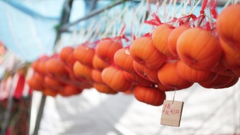 农历新年期间，档口高挂柑橘兜售