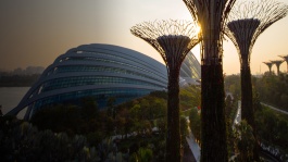 滨海湾花园俯拍图，含云雾森林、花穹顶及擎天树。