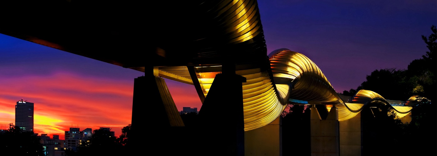 Henderson Waves Bridge at sunset