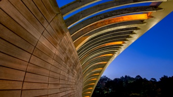 Henderson Waves is anchored by steel arches and filled in with curved slats of Balau wood