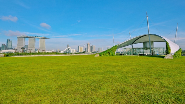 滨海堤坝屋顶上的绿色户外空间