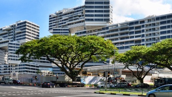 由地面层望去，翠城新景外观与茂密大树相辉映