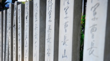 日本人墓地公园里成行的墓碑