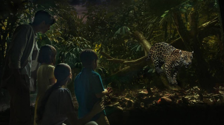 一家人在新加坡夜间动物园的电车上观赏马来虎