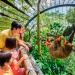 一对母女在新加坡动物园内给长颈鹿喂食
