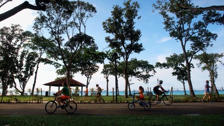 脚车骑士们在东海岸公园骑行道上骑行。