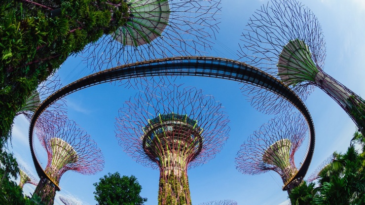 滨海湾花园华侨银行空中走道 360 度风景的广角镜头