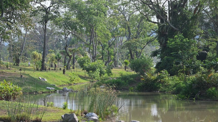 裕廊湖花园内的 Neram 小溪景观