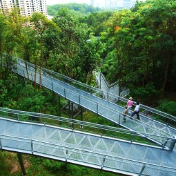 在新加坡这座花园的自然环境中亲近多种多样的动植物。
