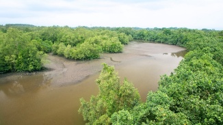 双溪布洛湿地保留区 (Sungei Buloh Wetland Reserve) 的鸟瞰镜头