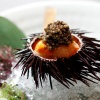 Waku Ghin 餐馆海胆美食的特写照