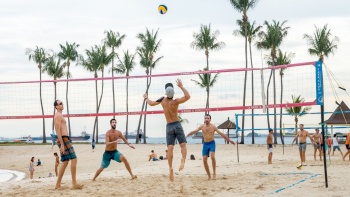 一群男子在巴拉湾海滩上打排球