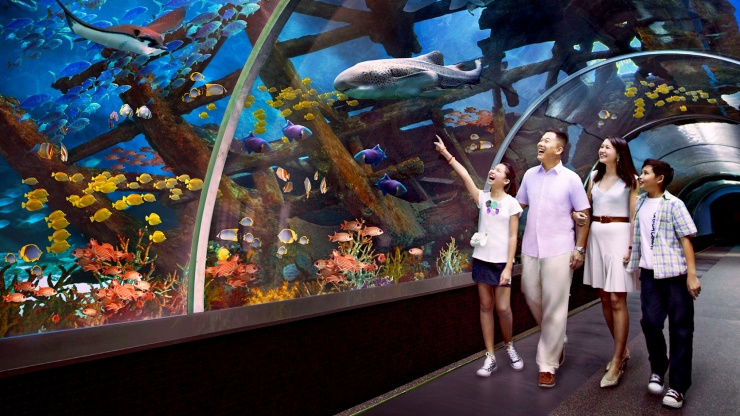 一家人在圣淘沙名胜世界 S.E.A. 海洋馆 (S.E.A Aquarium) 游玩的广角镜头
