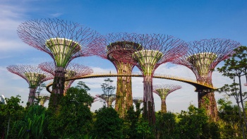 新加坡滨海湾花园里的擎天大树