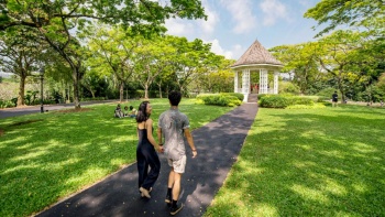 情侣在新加坡植物园的走道上散步