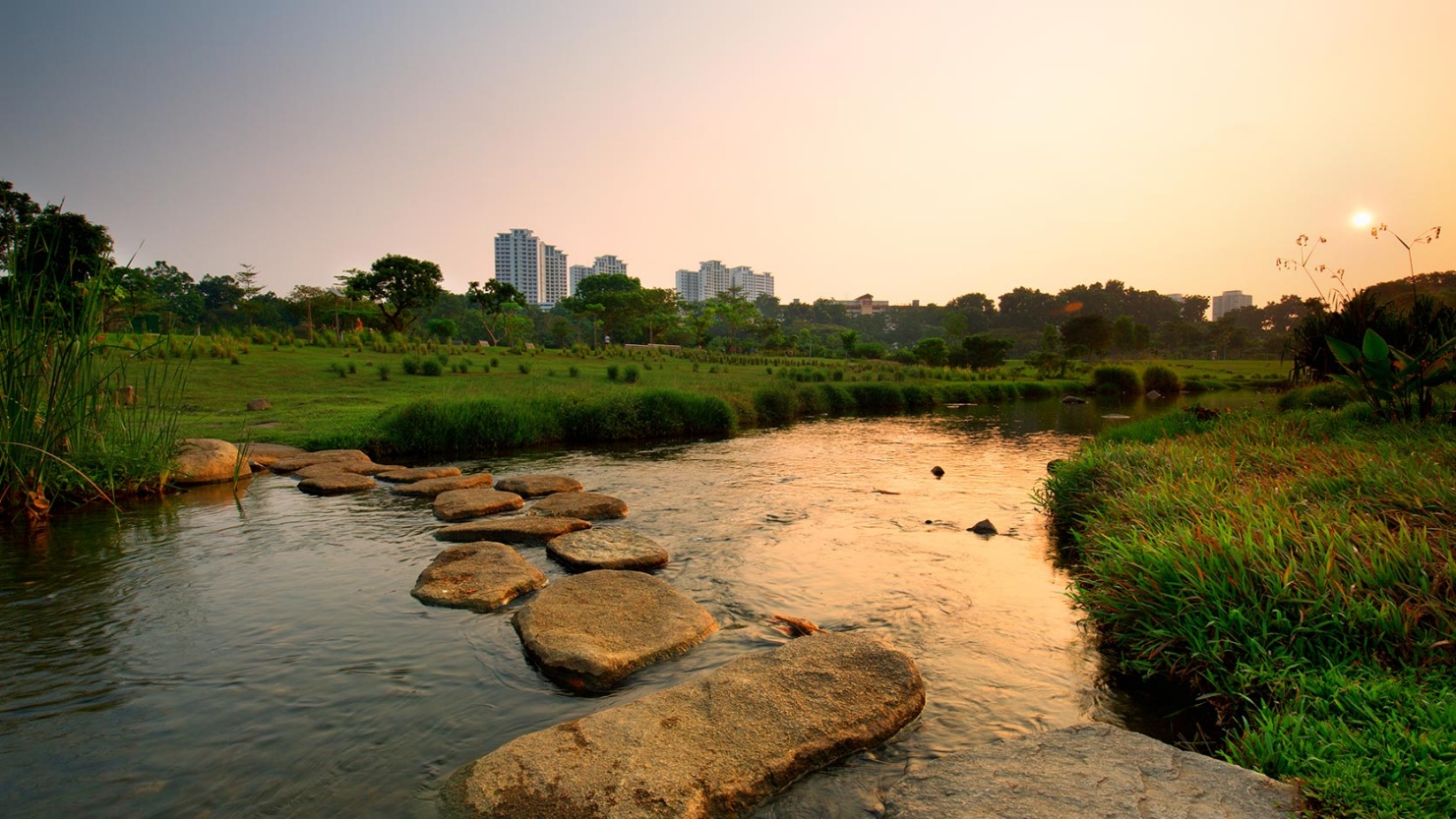 ɽïŹ԰ (bishan-ang mo kio park) ӵ.
