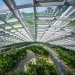 Green spaces and sustainable buildings in SG